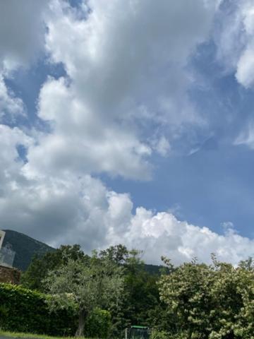 カプリーノ・ヴェロネーゼLa Casa In Collinaアパートメント エクステリア 写真